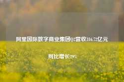 阿里国际数字商业集团Q2营收316.72亿元 同比增长29%-第1张图片-火锅网