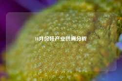 10月份硅产业供需分析-第1张图片-火锅网