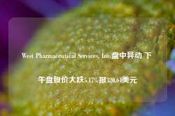 West Pharmaceutical Services, Inc.盘中异动 下午盘股价大跌5.17%报320.64美元-第1张图片-火锅网