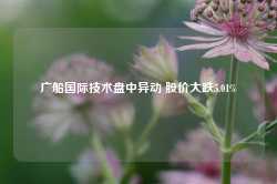 广船国际技术盘中异动 股价大跌5.01%-第1张图片-火锅网