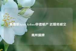 美廉航Spirit Airlines申请破产 近期将被交易所摘牌-第1张图片-火锅网