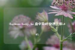 Excelerate Energy, Inc.盘中异动 快速上涨5.00%-第1张图片-火锅网