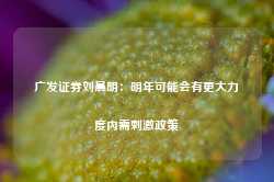 广发证券刘晨明：明年可能会有更大力度内需刺激政策-第1张图片-火锅网