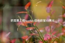 巴克莱上调Snowflake目标价至172美元-第1张图片-火锅网