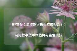 IFF发布《全球数字货币发展报告》：洞见数字货币新趋势与监管挑战-第1张图片-火锅网