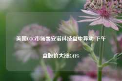 美国OTC市场赛安诺科技盘中异动 下午盘股价大涨5.41%-第1张图片-火锅网