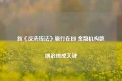 新《反洗钱法》施行在即 金融机构数据治理成关键-第1张图片-火锅网