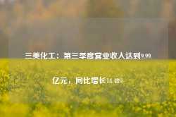 三美化工：第三季度营业收入达到9.99亿元，同比增长14.48%-第1张图片-火锅网