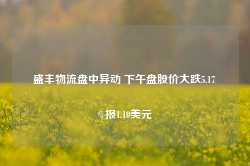 盛丰物流盘中异动 下午盘股价大跌5.17%报1.10美元-第1张图片-火锅网