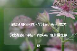 深度使用ChatGPT六个月后，OpenAI最大的金融客户评估：有效果，但扩展性存疑-第1张图片-火锅网