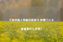 工银安盛人寿副总裁落马 新掌门人王都富拿什么逆袭？-第1张图片-火锅网