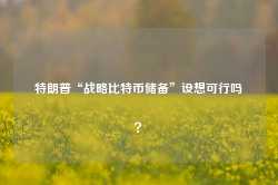 特朗普“战略比特币储备”设想可行吗？-第1张图片-火锅网