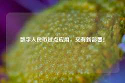 数字人民币试点应用，又有新部署！-第1张图片-火锅网