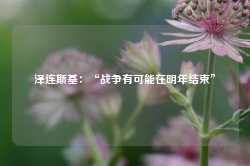 泽连斯基：“战争有可能在明年结束”-第1张图片-火锅网