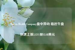 Sotera Health Company盘中异动 临近午盘快速上涨5.15%报13.48美元-第1张图片-火锅网