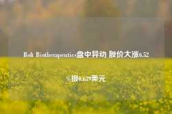 Bolt Biotherapeutics盘中异动 股价大涨6.52%报0.639美元-第1张图片-火锅网