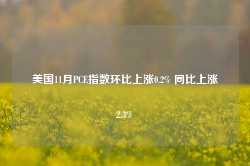 美国11月PCE指数环比上涨0.2% 同比上涨2.3%-第1张图片-火锅网