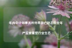 年内会计师事务所罚单数已超去年全年 严监管重塑行业生态-第1张图片-火锅网