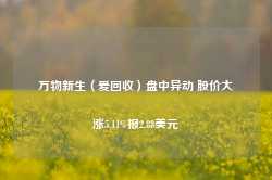 万物新生（爱回收）盘中异动 股价大涨5.11%报2.88美元-第1张图片-火锅网