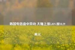 韩国电信盘中异动 大幅上涨5.03%报18.29美元-第1张图片-火锅网