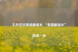 王兵任甘肃省副省长 “金融副省长”再添一员-第1张图片-火锅网