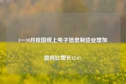 1—10月我国规上电子信息制造业增加值同比增长12.6%-第1张图片-火锅网