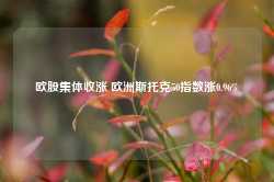 欧股集体收涨 欧洲斯托克50指数涨0.96%-第1张图片-火锅网