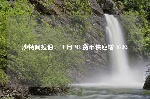 沙特阿拉伯：11 月 M3 货币供应增 10.3%