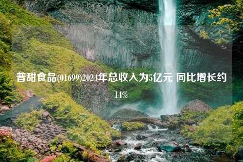 普甜食品(01699)2024年总收入为5亿元 同比增长约14%