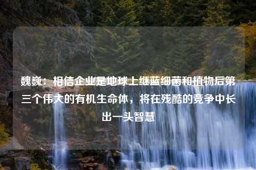 魏巍：相信企业是地球上继蓝细菌和植物后第三个伟大的有机生命体，将在残酷的竞争中长出一头智慧