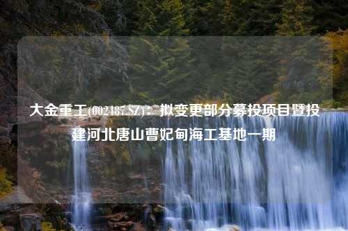 大金重工(002487.SZ)：拟变更部分募投项目暨投建河北唐山曹妃甸海工基地一期