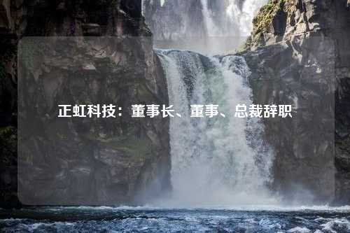 正虹科技：董事长、董事、总裁辞职