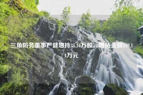 三角防务董事严健增持35.16万股，增持金额849.11万元