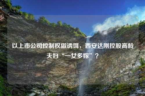 以上市公司控制权做诱饵，西安达刚控股高龄夫妇“一女多嫁”？