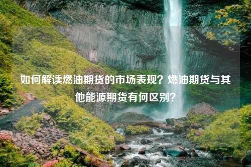 如何解读燃油期货的市场表现？燃油期货与其他能源期货有何区别？