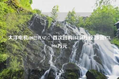 大洋电机(002249.SZ)：首次回购184.54万股 涉资978.996万元