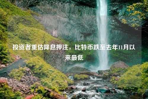 投资者重估降息押注，比特币跌至去年11月以来最低