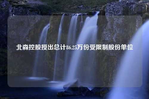 北森控股授出总计86.25万份受限制股份单位