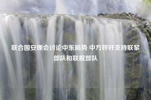 联合国安理会讨论中东局势 中方呼吁支持联黎部队和联脱部队